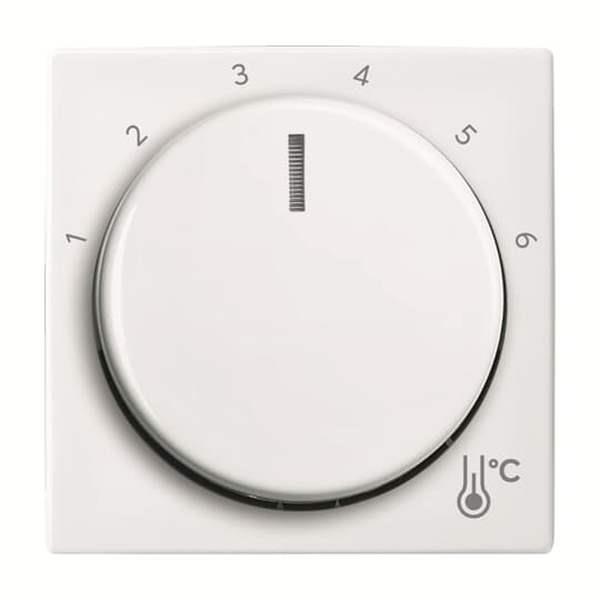 Busch-Jäger 1794 R-914-1794 R-914 Zentralscheibe Temperatur, rund