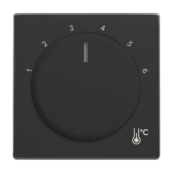 Busch-Jäger 1794 R-81-1794 R-81 Zentralscheibe Temperatur, rund