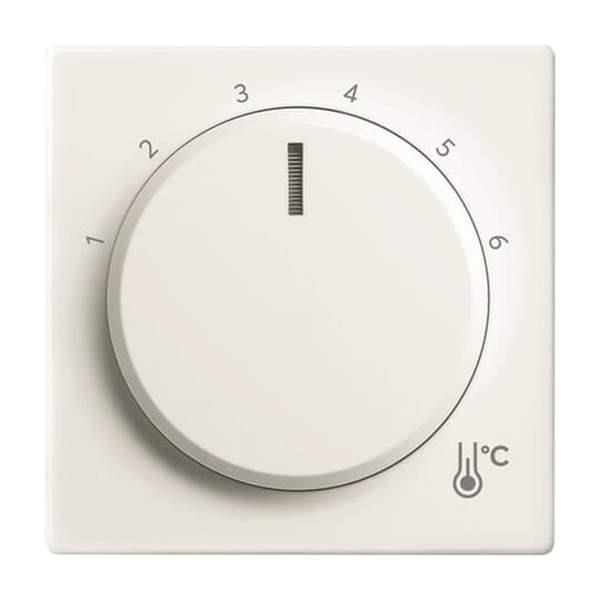 Busch-Jäger 1794 R-84-1794 R-84 Zentralscheibe Temperatur, rund