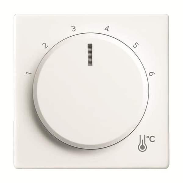 Busch-Jäger 1794 R-884-1794 R-884 Zentralscheibe Temperatur, rund