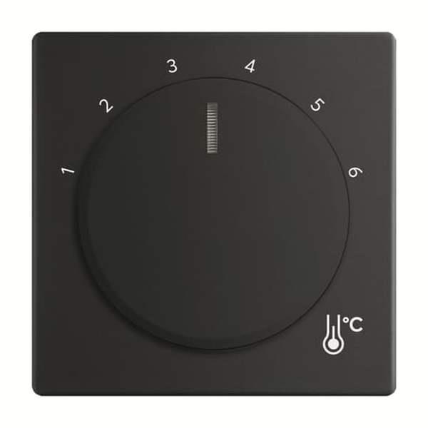 Busch-Jäger 1794 R-885-1794 R-885 Zentralscheibe Temperatur, rund