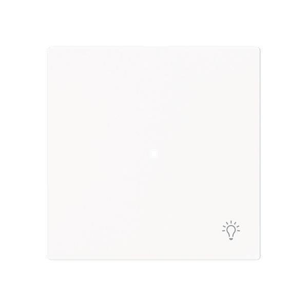 Busch-Jäger 6231-10-44M-Wippe 1-fach mit Symbol Licht