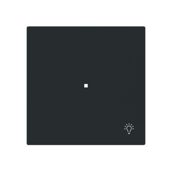 Busch-Jäger 6231-10-45M-Wippe 1-fach mit Symbol Licht