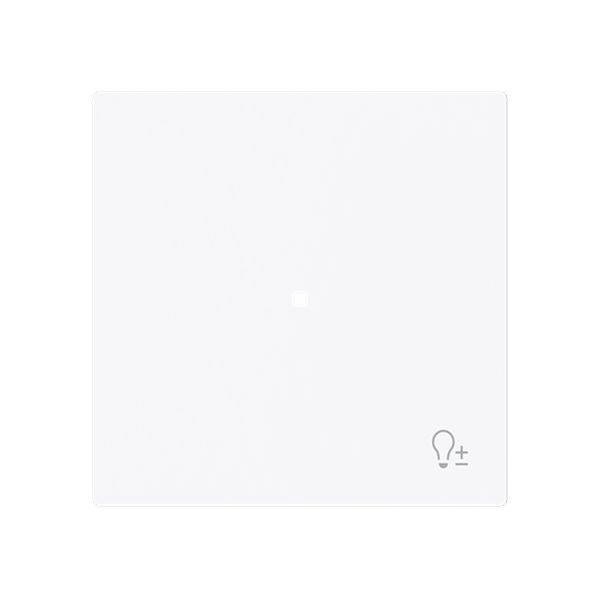 Busch-Jäger 6234-10-44G-Wippe 1-fach mit Symbol Dimmer
