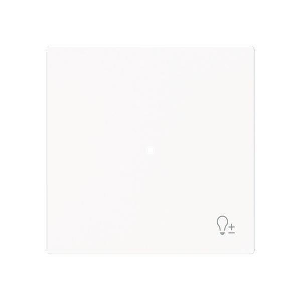 Busch-Jäger 6234-10-44M-Wippe 1-fach mit Symbol Dimmer