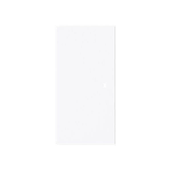 Busch-Jäger 6230-20-44G-Wippe, 2-fach neutral ohne Bedruckung