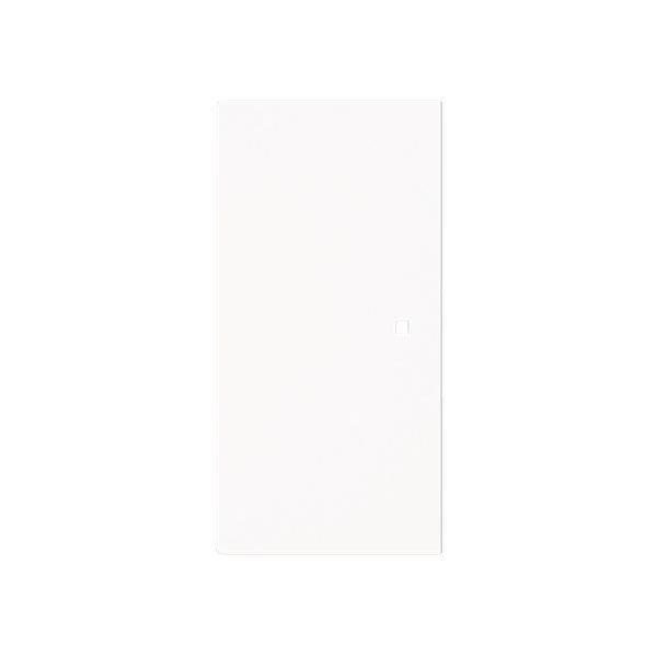 Busch-Jäger 6230-20-44M-Wippe, 2-fach neutral ohne Bedruckung