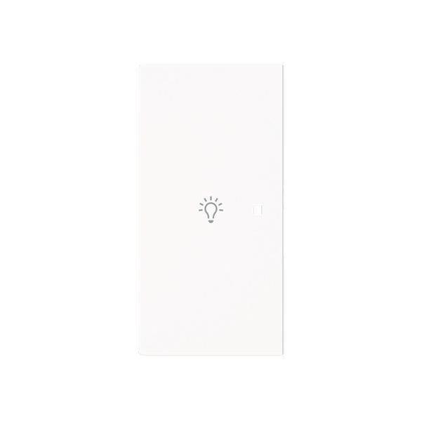 Busch-Jäger 6231-21-44G-Wippe 2-fach, links mit Symbol Licht