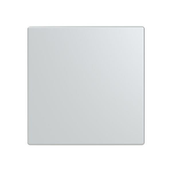 Busch-Jäger LFW/A.1.63.11-83-Abdeckung, 1-fach für Keypad