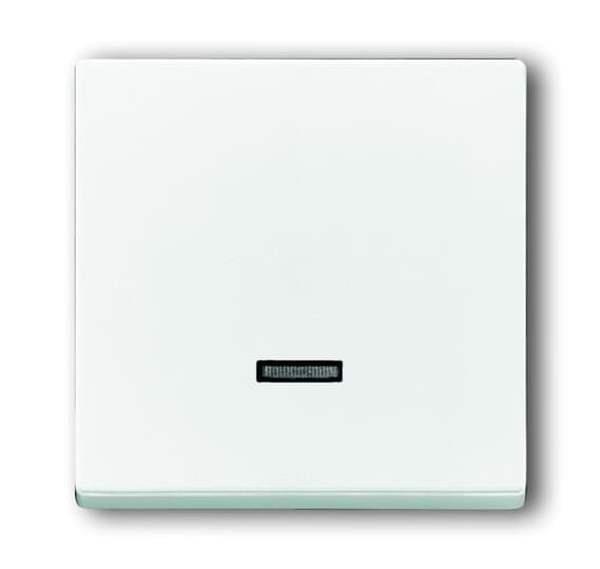 Busch-Jäger 6543-84-101-Bedienelement mit Glimmlampe Busch-Jäger 6543-84-101-Bedienelement mit Glimmlampe