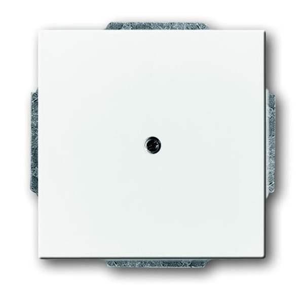 Busch-Jäger 1742-84-Blindzentralscheibe mit Tragring Busch-Jäger 1742-84-Blindzentralscheibe mit Tragring