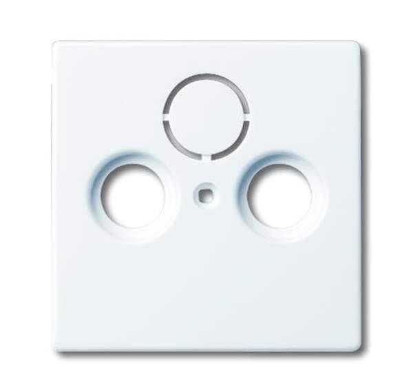 Busch-Jäger 1743-84-Zentralscheibe als Abdeckung für handelsübliche Antennenstec Busch-Jäger 1743-84-Zentralscheibe als Abdeckung für handelsübliche Antennenstec