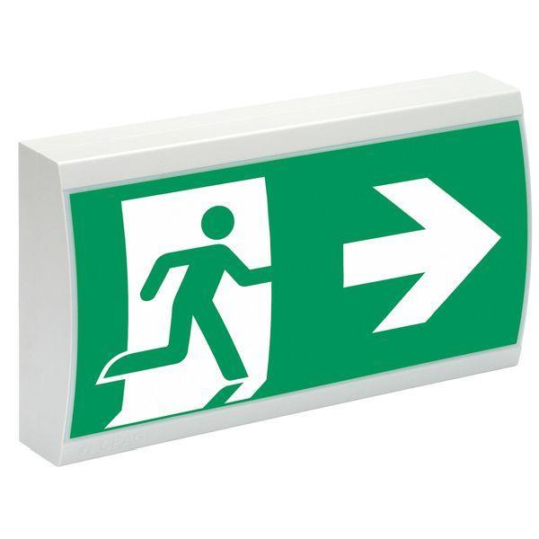 CEAG LED-Notleuchte 28011 1-8h/D LED CGLine+ CEAG LED-Notleuchte 28011 1-8h/D LED CGLine+