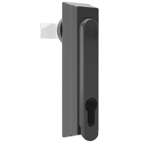 ABN Schwenkhebel GDV120N10 o.Schließeinsatz(PK=10Stk.)