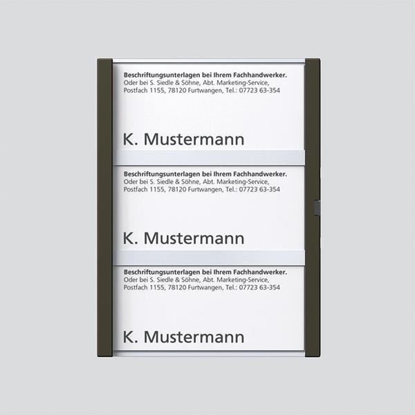 Siedle TM 612-3, BTM 650-03 GM Namensschild komplett