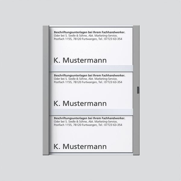 Siedle TM 612-3, BTM 650-03 TM Namensschild komplett