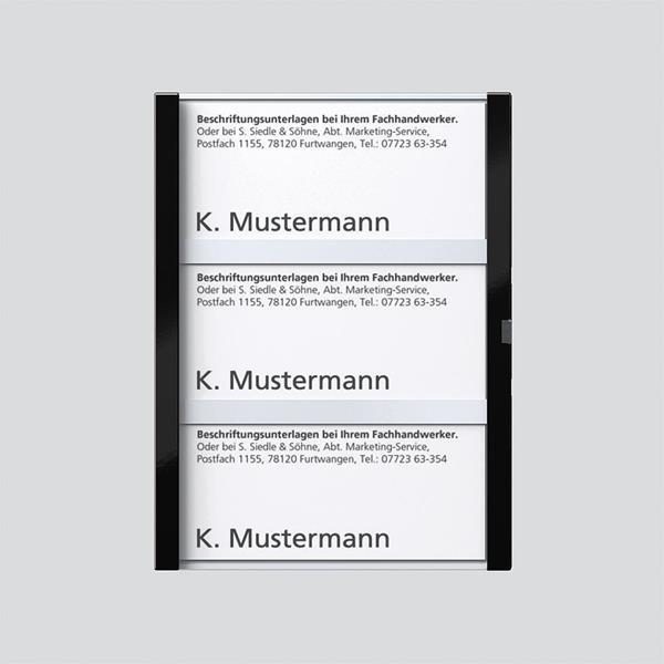 Siedle TM 612-3, BTM 650-03 SH Namensschild komplett