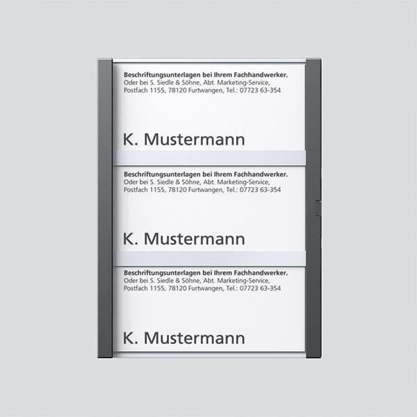 Siedle TM 612-3, BTM 650-03 DG Namensschild komplett