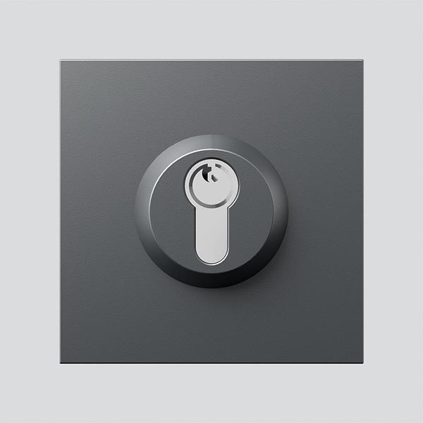 Siedle SM 611-01 DG Schloss-Modul