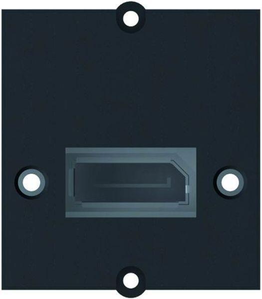 Bachmann Rahmen 917.145 DisplayPort Buchse