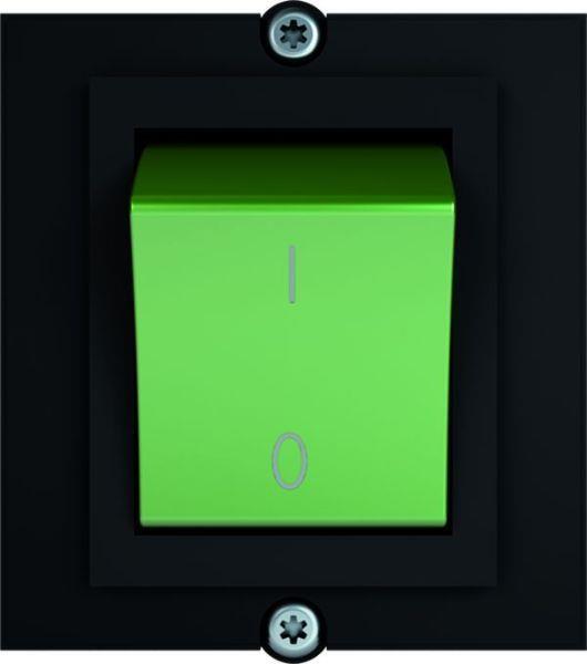 Bachmann Rahmen 1x Schalter 2polig frün Strom 1,0 AEH