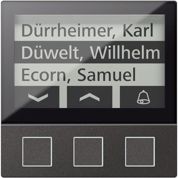 TCS Displaymodul mit 3 Tasten Serie AMI, für bis zu 256 Wohneinheiten, schwarz