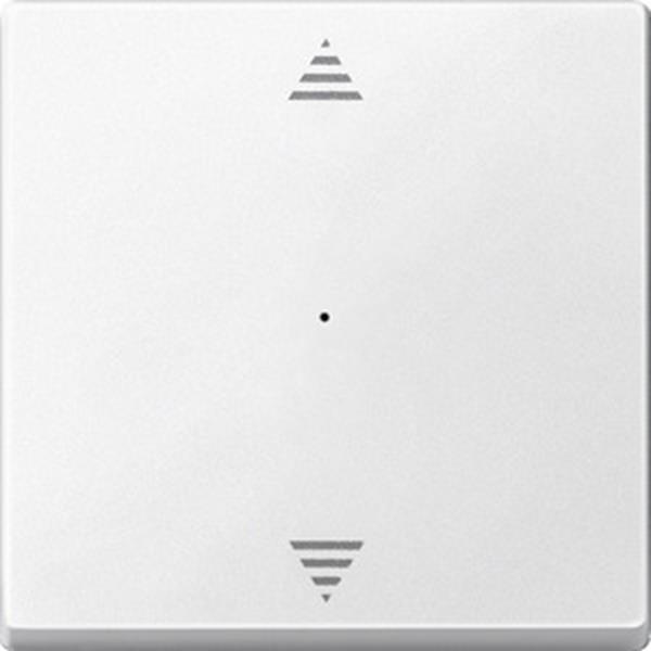 Merten Wippe für Tastermodul 1fach mit Aufdruck Pfeile Auf/Ab, polarweiß, System