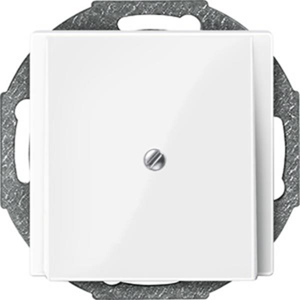 Merten Zentralplatte Leitungsauslass, polarweiß glänzend, System M