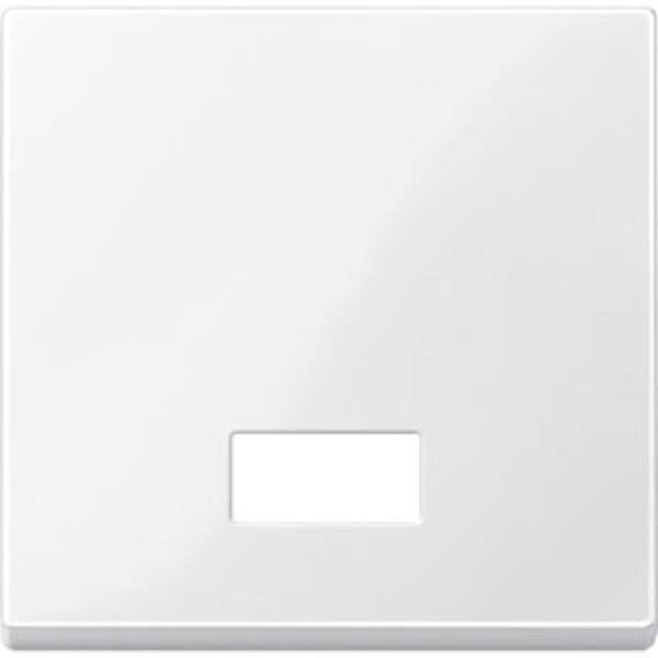 Merten Wippe mit rechteckigem Symbolfenster, polarweiß glänzend, System M
