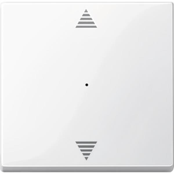 Merten Wippe für Tastermodul 1fach mit Aufdruck Auf/Ab, polarweiß glänzend, Syst