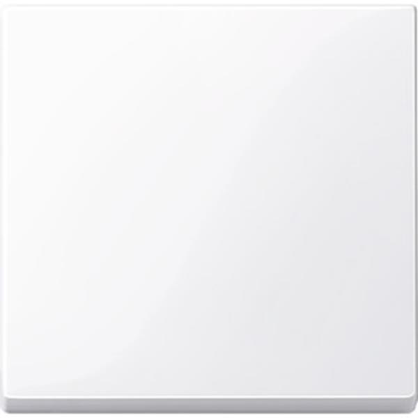 Merten Wippe, aktivweiß glänzend, System M