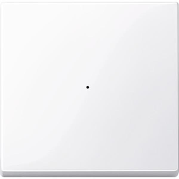 Merten Wippe für Tastermodul 1fach, aktivweiß glänzend, System M