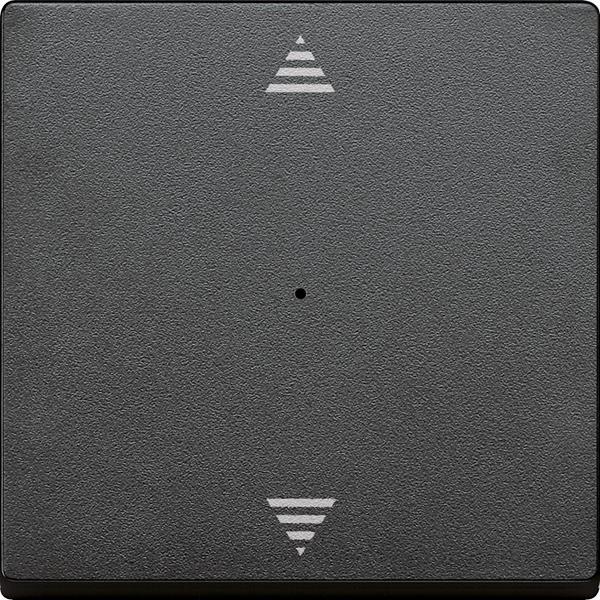 Merten Wippe für Tastermodul 1fach mit Aufdruck Pfeile Auf/Ab, anthrazit, System