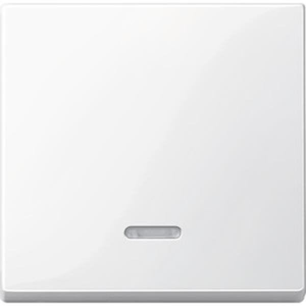 Merten Wippe mit Kontrollfenster, polarweiß glänzend, System M