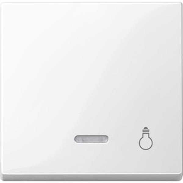 Merten Wippe mit Kontrollfenster und Aufdruck Licht, polarweiß glänzend, System