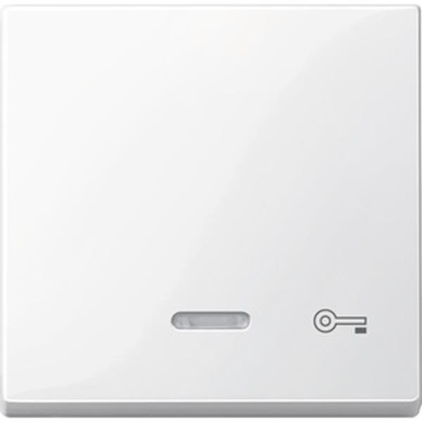 Merten Wippe mit Kontrollfenster und Aufdruck Schlüssel, polarweiß glänzend, Sys