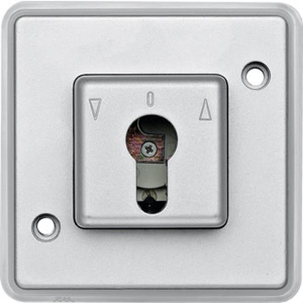 Merten Rollladentaster-Einsatz für Schließzylinder, mattsilber, PANZER