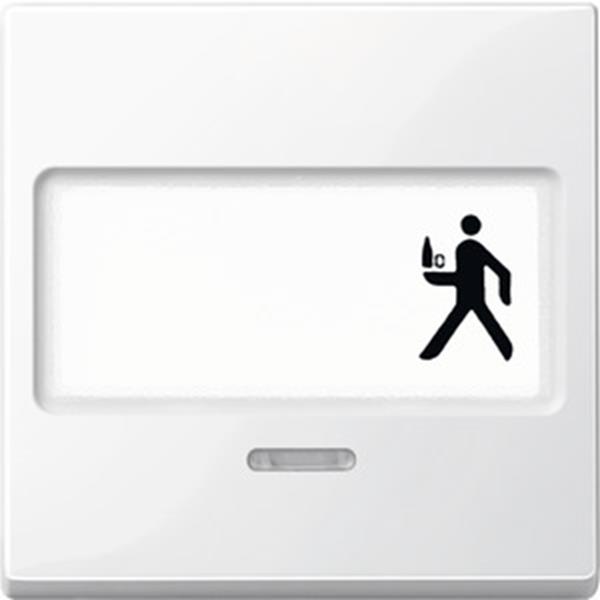 Merten Wippe mit Schriftfeld und Kontrollfenster, polarweiß glänzend, System M