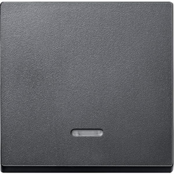 Merten Wippe mit Kontrollfenster, anthrazit, System M