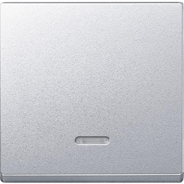 Merten Wippe mit Kontrollfenster, aluminium, System M