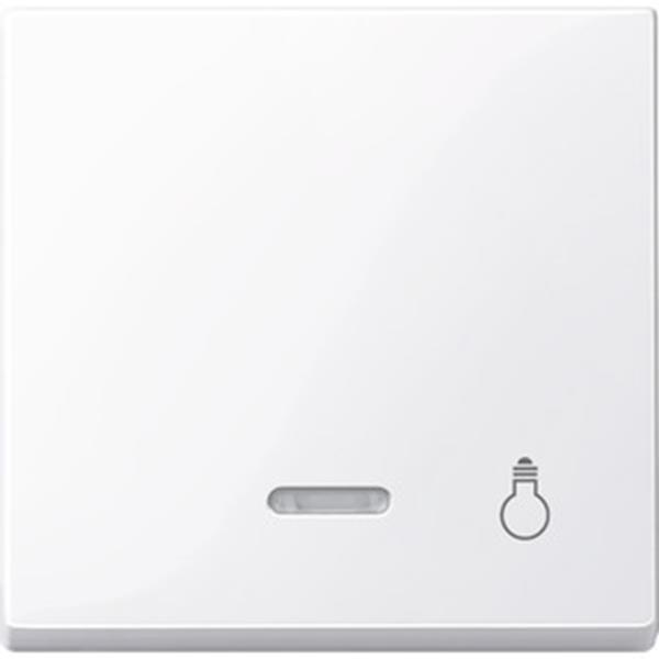 Merten Wippe mit Kontrollfenster und Aufdruck Licht, aktivweiß glänzend, System