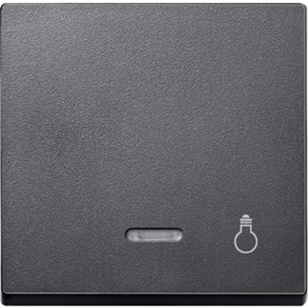 Merten Wippe mit Kontrollfenster und Aufdruck Licht, anthrazit, System M
