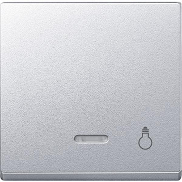 Merten Wippe mit Kontrollfenster und Aufdruck Licht, aluminium, System M