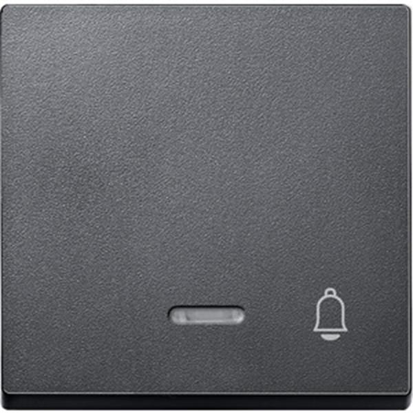 Merten Wippe mit Kontrollfenster und Aufdruck Klingel, anthrazit, System M