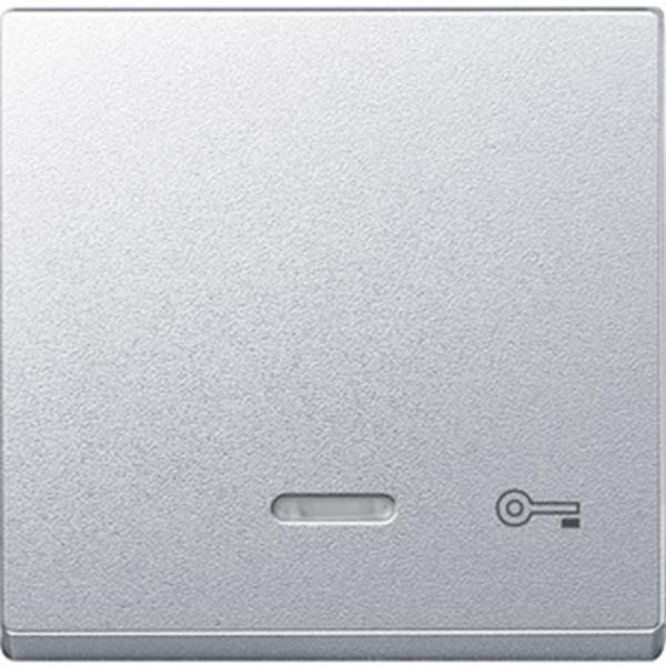 Merten Wippe mit Kontrollfenster und Aufdruck Schlüssel, aluminium, System M