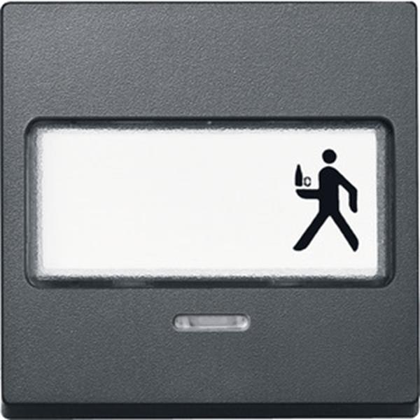 Merten Wippe mit Schriftfeld und Kontrollfenster, anthrazit, System M