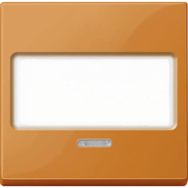 Merten Wippe mit Schriftfeld und Kontrollfenster, orange, System M