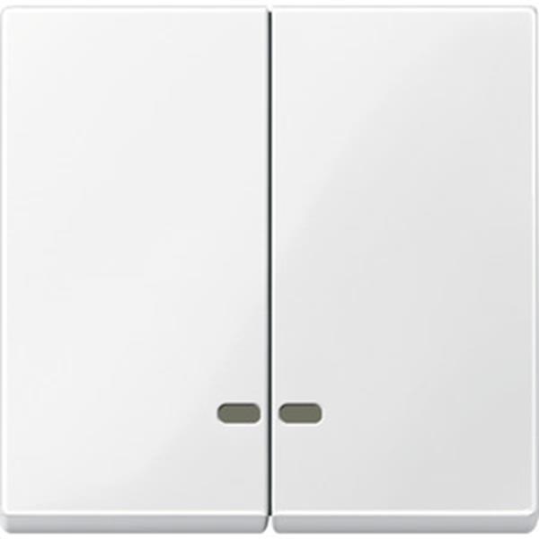 Merten Doppelwippe mit Kontrollfenster, polarweiß glänzend, System M
