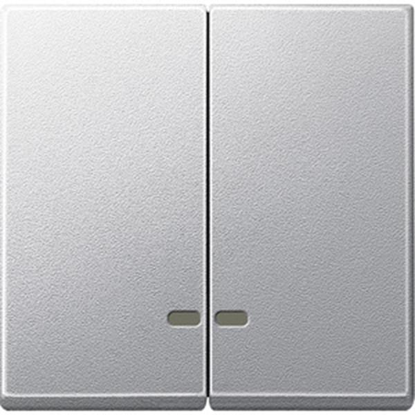 Merten Doppelwippe mit Kontrollfenster, aluminium, System M