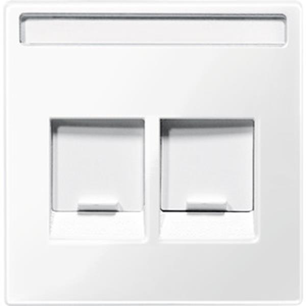 Merten Zentralplatte für Schneider Electric-Connector 2fach, polarweiß glänzend,
